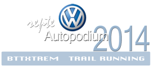repte_VW